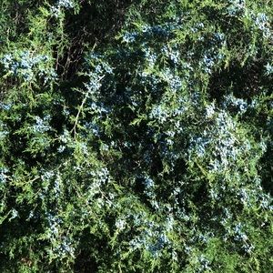 Meet your Posher, Abbi